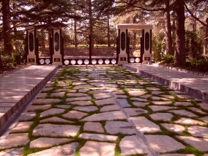 ÇİM DERZ BODRUM KAYRAK DÖŞEME